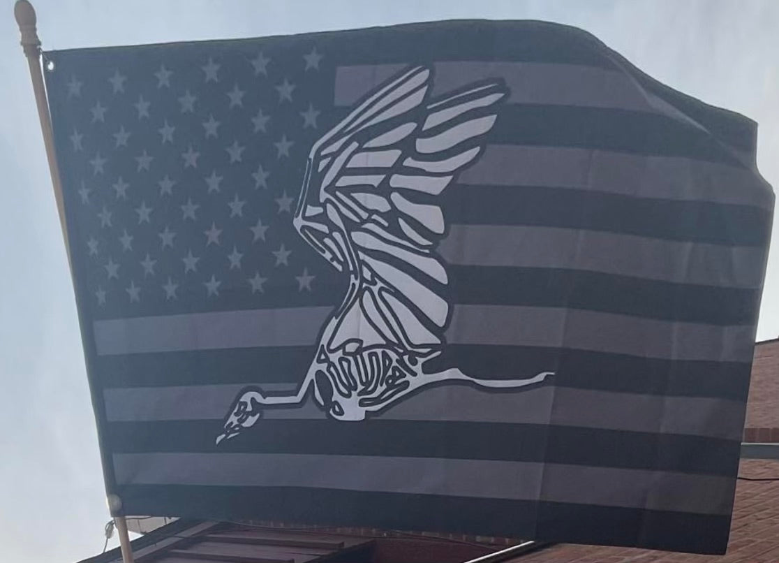 Combat Talon 1 Nose Art Bone Crane Flag